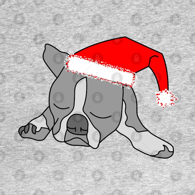 Santa Cap Dog by Barthol Graphics